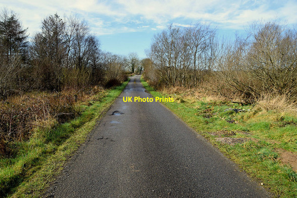 Photo 6"x4" Fernagh Road Mountfield\/H5378 c2022