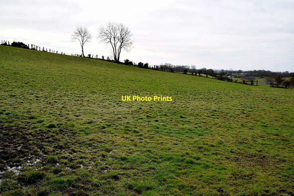 Photo 6"x4" A wet field, Oxtown Mountfield\/H5378 c2022