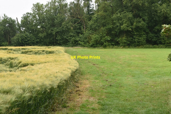 Photo 6"x4" Footpath by barley Knapwell c2021