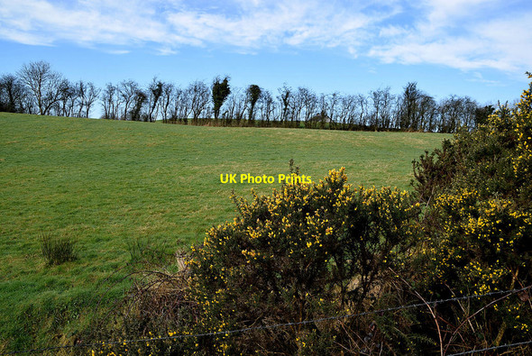 Photo 6"x4" Whins, Oxtown Mountfield\/H5378 c2022