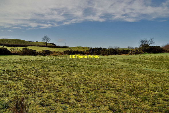 Photo 6"x4" Rushy ground, Oxtown Mountfield\/H5378 c2022