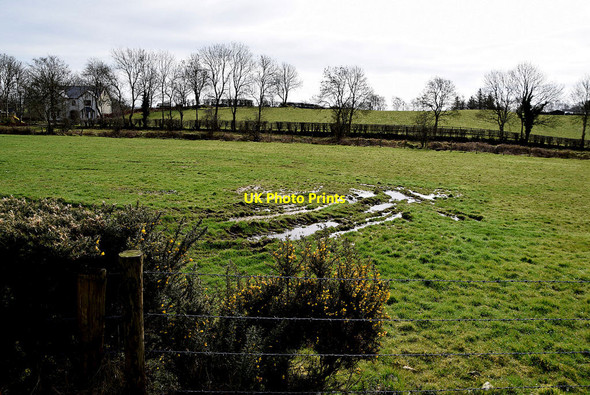 Photo 6"x4" A wet field, Drumnakilly Mountfield\/H5378 c2022