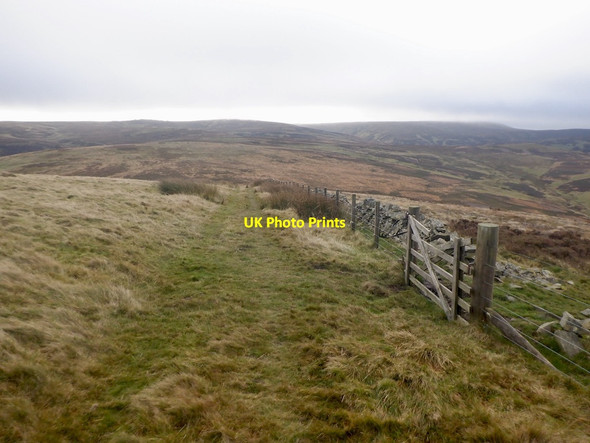 Photo 6"x4" Track on Dod Law Dod Law\/NT3750 c2021