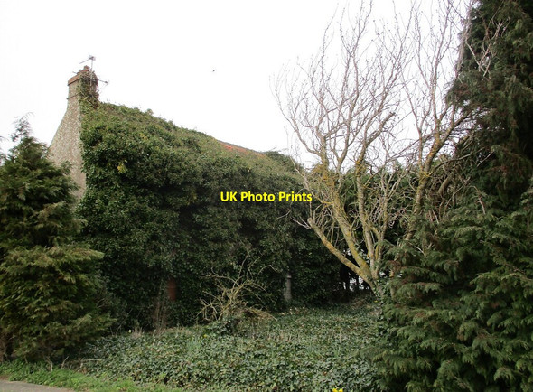 Photo 6"x4" Ivy covered house, Oak House Lane Haltoft End c2022