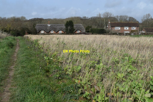 Photo 6"x4" Field path to Agarton Farm Lymore\/SZ2992 c2022