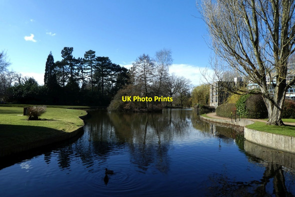 Photo 6"x4" Lake in Derwent Heslington c2022