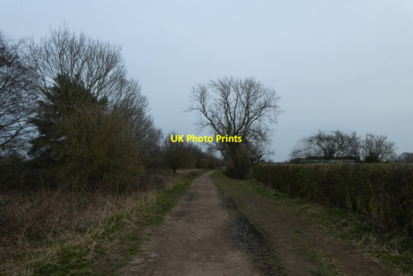 Photo 6"x4" Path in the Outgang Fulford\/SE6149 c2022