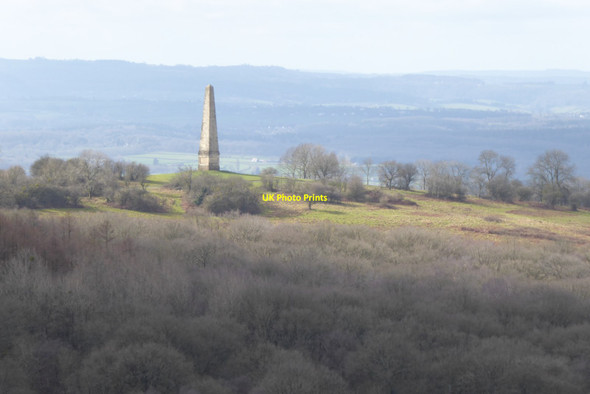 Photo 6"x4" Eastnor Obelisk  Hollybush\/SO7636 c2022