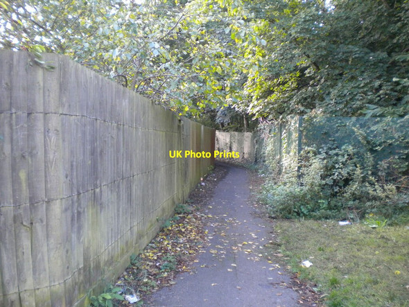 Photo 6"x4" Footpath in Overstone Lodge (1) Round Spinney c2021