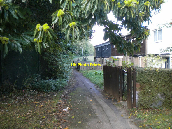Photo 6"x4" Footpath in Overstone Lodge (2) Round Spinney c2021