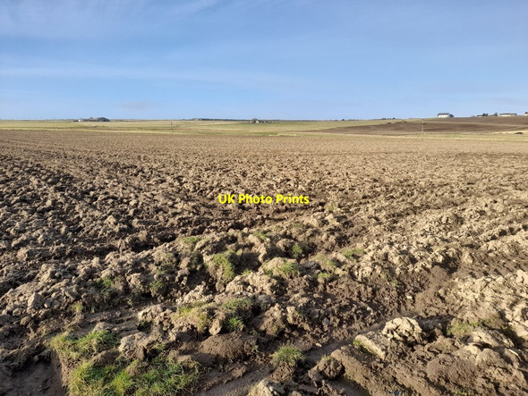 Photo 6"x4" Field, Charity Farm Wick\/ND3650 c2022