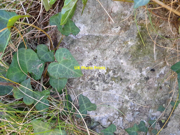 Photo 6"x4" Ordnance Survey Cut Mark Tenby\/Dinbych-y-pysgod c2022 P1