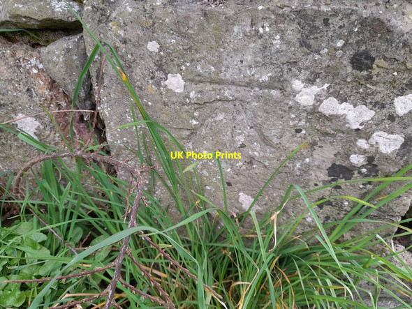 Photo 6"x4" Ordnance Survey Cut Mark Tenby\/Dinbych-y-pysgod c2022 P2