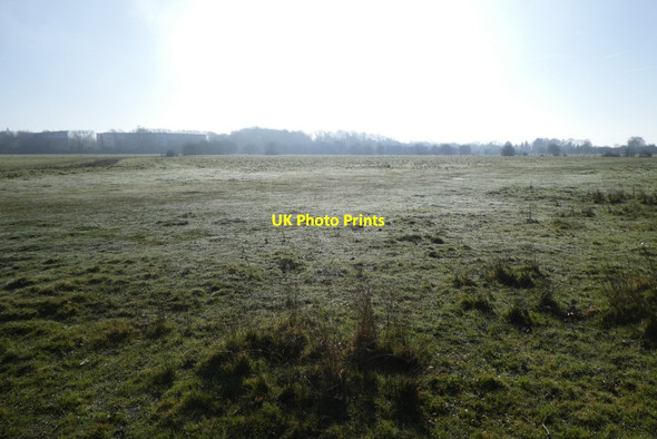 Photo 6"x4" Dew on Walmgate Stray York\/SE5951 c2022