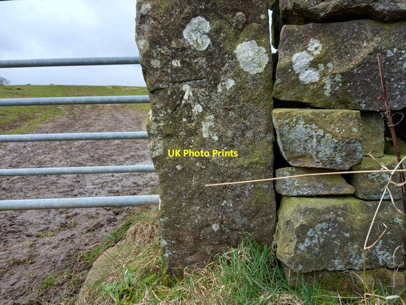 Photo 6"x4" High Skelding, Skell Gill Farm Wake Hill c2022