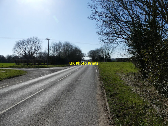 Photo 6"x4" Road to Buxton Lamas c2022