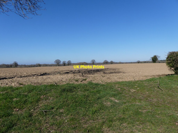 Photo 6"x4" Ploughed field Lamas c2022