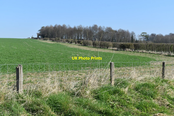 Photo 6"x4" Corner of field above Stapleford Stapleford\/SU0737 c2022