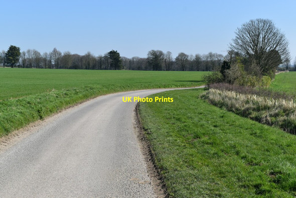 Photo 6"x4" Farm road east of Druid's Head Farm Berwick St James c2022