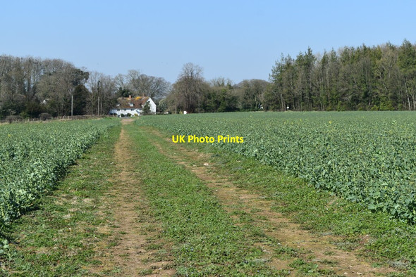 Photo 6"x4" Path across field to Druid's Lodge Middle Woodford c2022