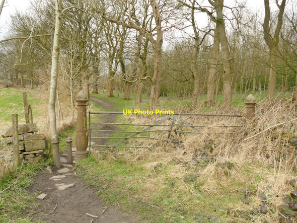 Photo 6"x4" Iron gate at Stocks Lane Bottom Clayton\/SE1231 c2022