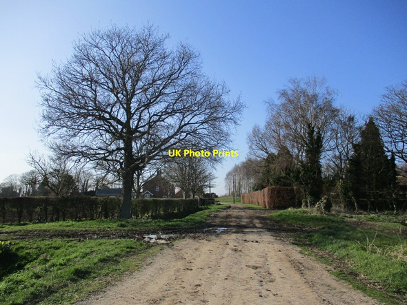 Photo 6"x4" The Marsh, Benington Benington Sea End c2022