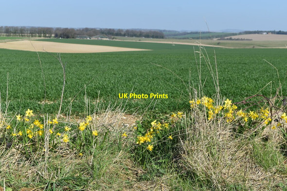 Photo 6"x4" Farmland north of Boreland Hill Upper Woodford c2022