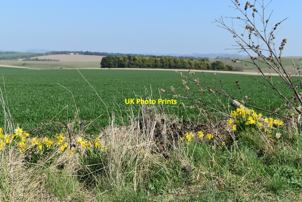 Photo 6"x4" Downland view from Boreland Hill Upper Woodford c2022