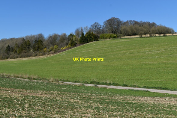 Photo 6"x4" Steep field near Chine Farm Middle Woodford c2022