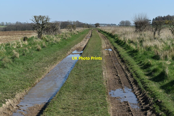 Photo 6"x4" Puddled track east of A360 Middle Woodford c2022