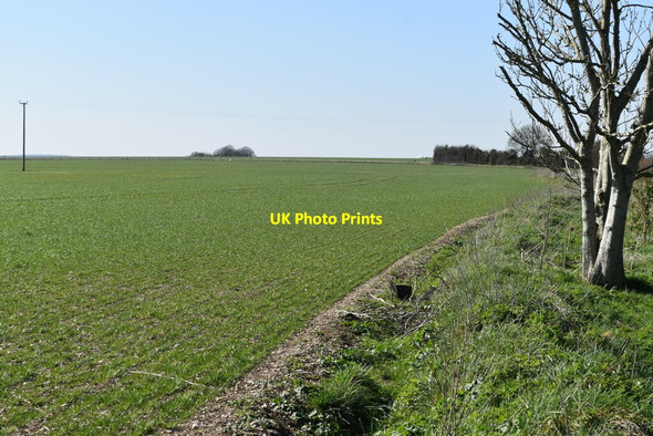 Photo 6"x4" Field edge south of the Monarch\u00e2\u0080\u0099s Way Stoford\/SU0835 c2022