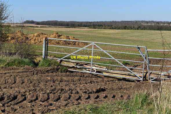 Photo 6"x4" Field gate beside Monarch's Way Stapleford\/SU0737 c2022