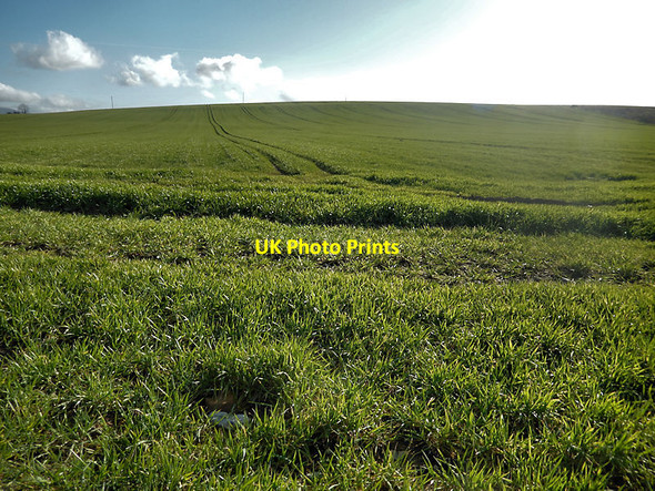 Photo 6"x4" Spring Crop Drangan c2022