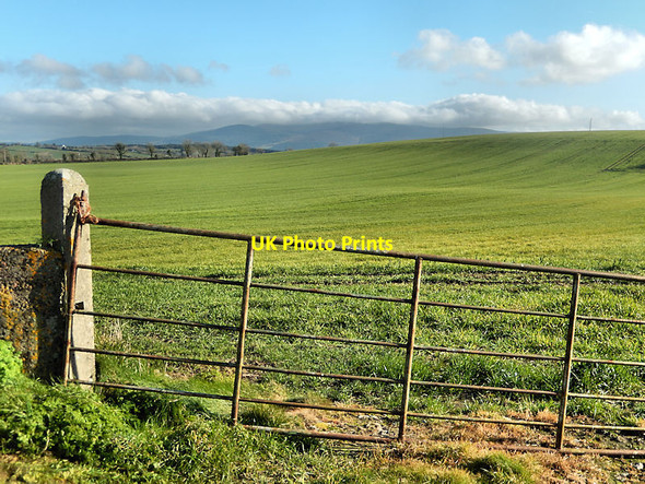 Photo 6"x4" Field Gate Moyglass c2022