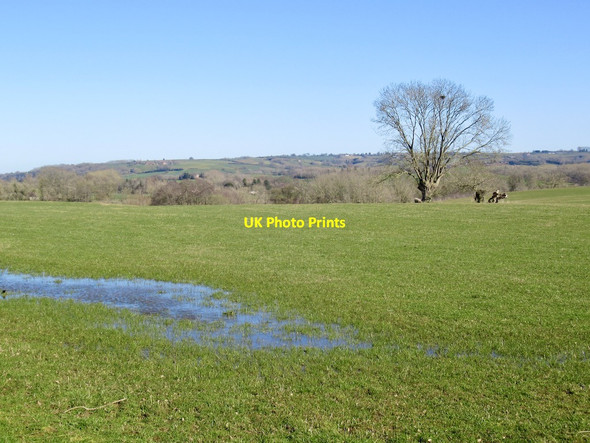 Photo 6"x4" View towards Broad Heath Kyrewood c2022