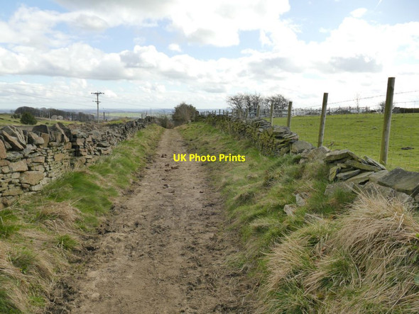 Photo 6"x4" Bowl Shaw Lane Queensbury\/SE0930 c2022