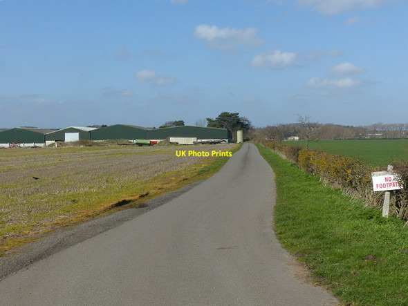 Photo 6"x4" Asher Lane \u00e2\u0080\u0093 No Footpath Brook Hill\/SK5633 c2022