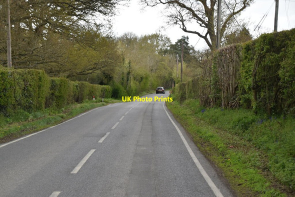 Photo 6"x4" Tandridge Lane Crowhurst Lane End c2021
