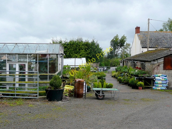 Photo 6"x4" Red Castle Nurseries Upper Green\/SO3818 c2009