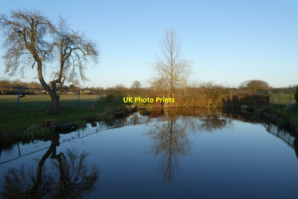 Photo 6"x4" Styal Moss Pool Moss Nook\/SJ8385 c2022