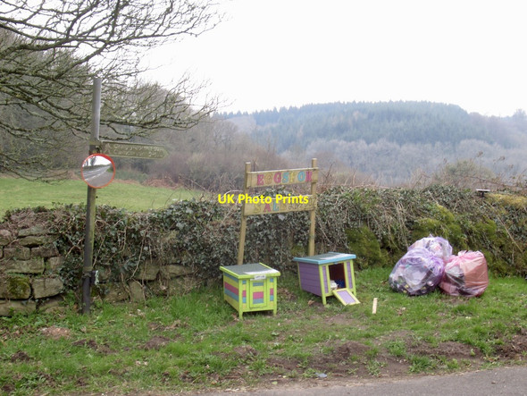Photo 6"x4" Egg stall, B4293 Cwmcarvan c2022