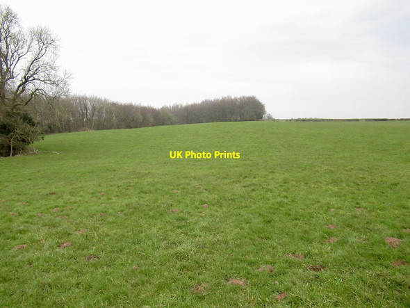 Photo 6"x4" Field above Cwm-bychan Trellech c2022