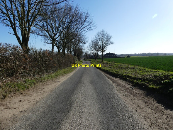 Photo 6"x4" South on Black Horse Road Lamas c2022