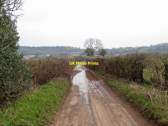 Photo 6"x4" A very muddy road Cotland\/SO5004 c2022