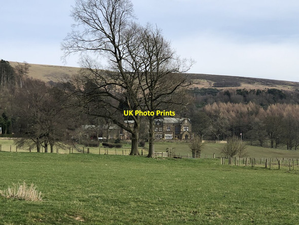 Photo 6"x4" View to Kepwick Hall Kepwick c2022