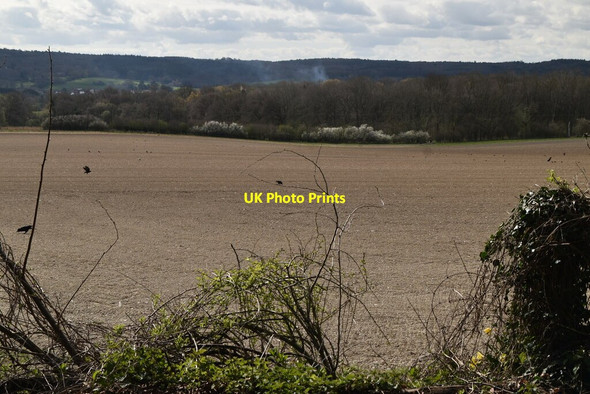 Photo 6"x4" Bare field Force Green c2021