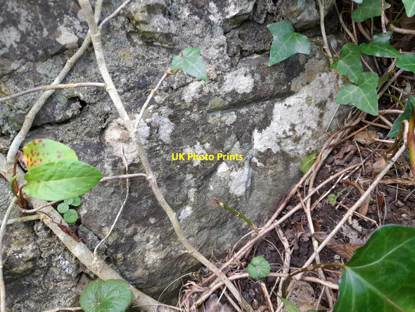 Photo 6"x4" Ordnance Survey Cut Mark Pembroke\/Penfro c2022 P1
