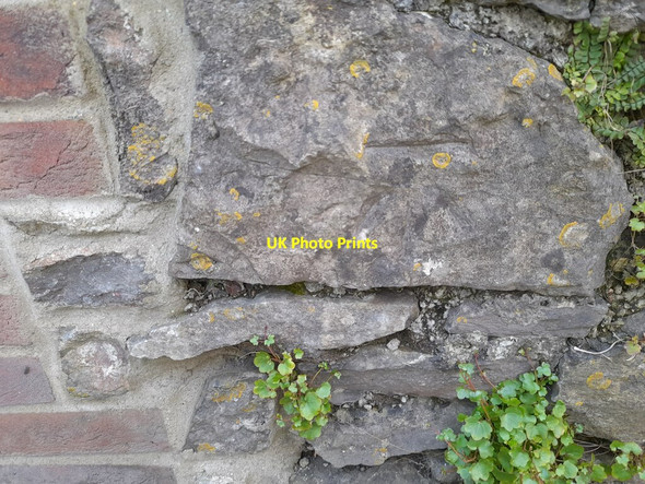 Photo 6"x4" Ordnance Survey Cut Mark Pembroke\/Penfro c2022 P1