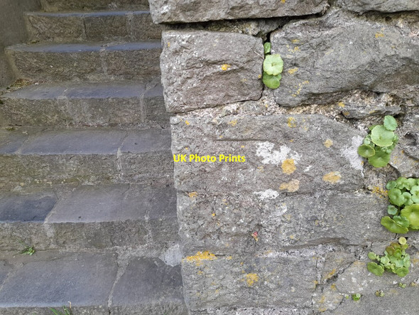 Photo 6"x4" Ordnance Survey Cut Mark Pembroke\/Penfro c2022 P3