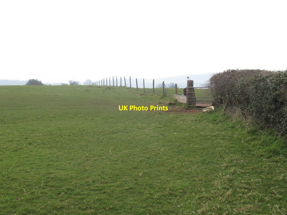Photo 6"x4" Hilltop field, Newchurch Gaer-fawr c2022